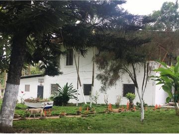 Venta de hacienda de 100 hectáreas con 30 hectáreas de teca sembradas en Balzar