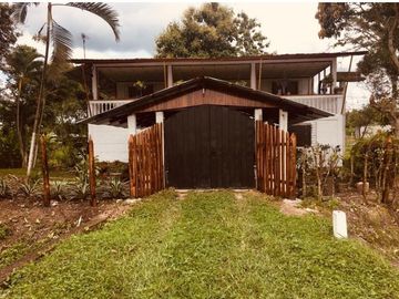 Venta de hacienda de 100 hectáreas con 30 hectáreas de teca sembradas en Balzar