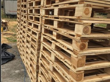 Venta de hacienda de 100 hectáreas con 30 hectáreas de teca sembradas en Balzar