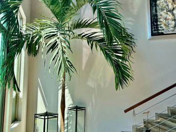 Excelente propiedad nuevecita en venta ubicada en bonita zona de Cuernavaca, Morelos