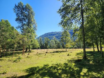 En Riñinahue, Espectacular predio de 52ha con 390m de orilla de río Nilahue