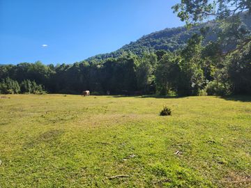 En Riñinahue, Espectacular predio de 52ha con 390m de orilla de río Nilahue