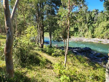 En Riñinahue, Espectacular predio de 52ha con 390m de orilla de río Nilahue