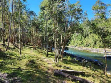 En Riñinahue, Espectacular predio de 52ha con 390m de orilla de río Nilahue
