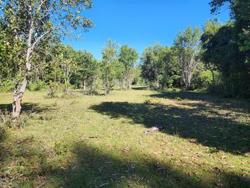 En Riñinahue, Espectacular predio de 52ha con 390m de orilla de río Nilahue