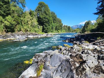 En Riñinahue, Espectacular predio de 52ha con 390m de orilla de río Nilahue