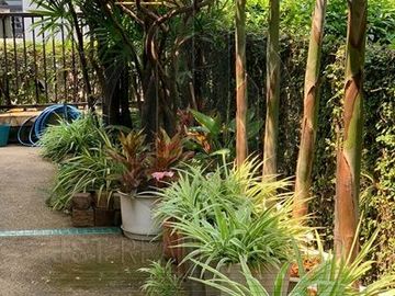 For Sale 4 bedrooms Sammakorn Ramkhamhaeng 112
