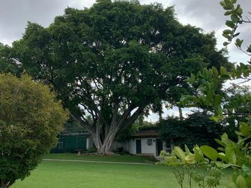 VENTA DE CASA EN LA COLONIA VOLCANES, JUNTO A VISTA HERMOSA, CUERNAVACA MOR. 2 TERRENOS JUNTOS, UN NIVEL, VIGILANCIA, ALBERCA, GRAN JARDÍN, CANCHA DE