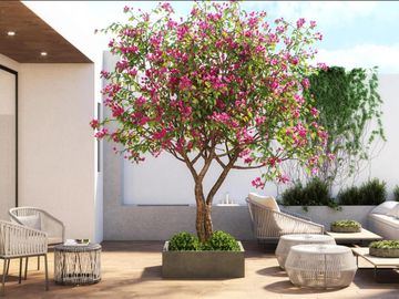 Departamento con terraza, Roof garden y gimnasio, en venta, Benito Juarez, Ciudad de México.