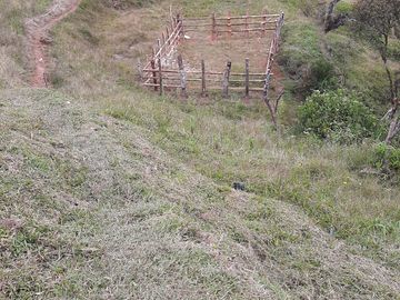 VENDO FINCA AGRÍCOLA, PARA GANADO O CERDOS EN SANTUARIO ANTIOQUIA.