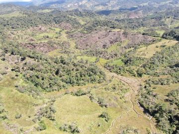 VENDO FINCA AGRÍCOLA, PARA GANADO O CERDOS EN SANTUARIO ANTIOQUIA.