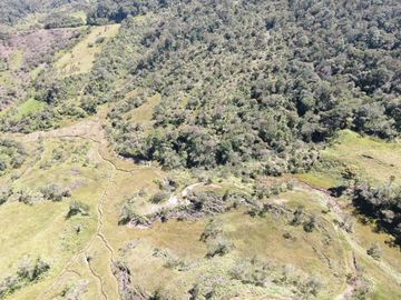 VENDO FINCA AGRÍCOLA, PARA GANADO O CERDOS EN SANTUARIO ANTIOQUIA.