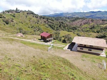 VENDO FINCA AGRÍCOLA, PARA GANADO O CERDOS EN SANTUARIO ANTIOQUIA.