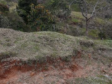 VENDO FINCA AGRÍCOLA, PARA GANADO O CERDOS EN SANTUARIO ANTIOQUIA.