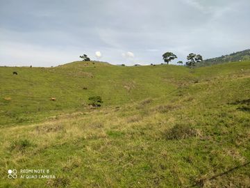 VENDO FINCA AGRÍCOLA, PARA GANADO O CERDOS EN SANTUARIO ANTIOQUIA.