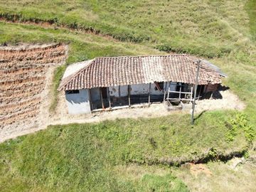 VENDO FINCA AGRÍCOLA, PARA GANADO O CERDOS EN SANTUARIO ANTIOQUIA.