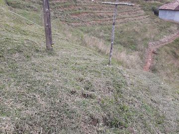VENDO FINCA AGRÍCOLA, PARA GANADO O CERDOS EN SANTUARIO ANTIOQUIA.