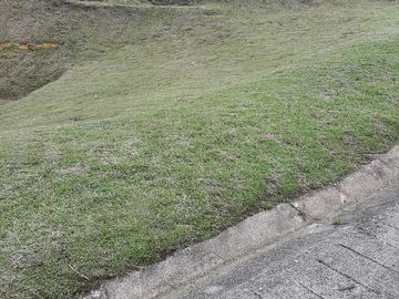 VENDO FINCA AGRÍCOLA, PARA GANADO O CERDOS EN SANTUARIO ANTIOQUIA.
