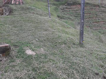VENDO FINCA AGRÍCOLA, PARA GANADO O CERDOS EN SANTUARIO ANTIOQUIA.