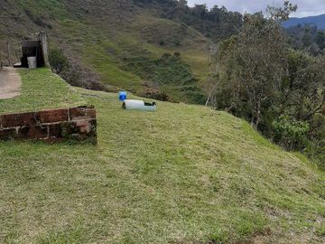VENDO FINCA AGRÍCOLA, PARA GANADO O CERDOS EN SANTUARIO ANTIOQUIA.