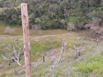 VENDO FINCA AGRÍCOLA, PARA GANADO O CERDOS EN SANTUARIO ANTIOQUIA.