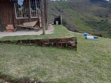 VENDO FINCA AGRÍCOLA, PARA GANADO O CERDOS EN SANTUARIO ANTIOQUIA.