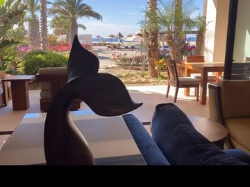Departamento en planta baja, con vista al mar, y entrada directa al area de la alberca y Jacuzzi privado, Pacific Ocean, Cabo San Lucas.