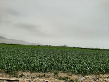 VENDO TERRENO CHANCAY MEGAPUERTO 35000 m2