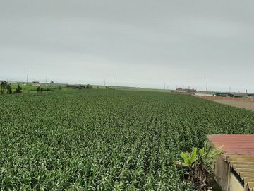 VENDO TERRENO CHANCAY MEGAPUERTO 35000 m2
