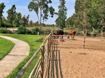 ¡SE VENDE DE OCASIÓN LOTES DE 1,000 M2 EN CONDOMINIO 