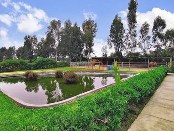 ¡SE VENDE DE OCASIÓN LOTES DE 1,000 M2 EN CONDOMINIO 