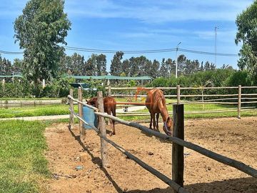 ¡SE VENDE DE OCASIÓN LOTES DE 1,000 M2 EN CONDOMINIO 
