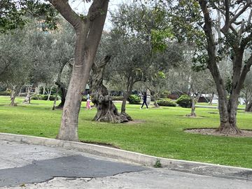 ALQUILO MINI DEPARTAMENTO A MEDIA CUADRA DEL OLIVAR EN SAN ISIDRO