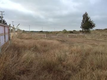 PARCELA  DE AGRADO  AL INTERIOR DE LA COMUNIDAD DE PUNTA DE TRALCA