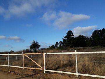 PARCELA  DE AGRADO  AL INTERIOR DE LA COMUNIDAD DE PUNTA DE TRALCA