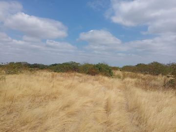 VENTA DE TERRENO AGRÍCOLA DE 9.63 HA