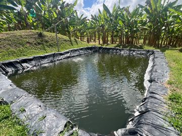 Finca productiva en venta Quimbaya Quindio 24 cuadras