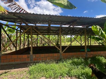 Finca productiva en venta Quimbaya Quindio 24 cuadras