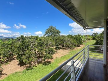 Finca productiva en venta Quimbaya Quindio 24 cuadras