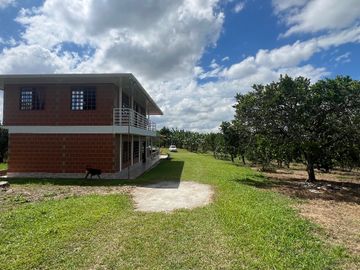 Finca productiva en venta Quimbaya Quindio 24 cuadras