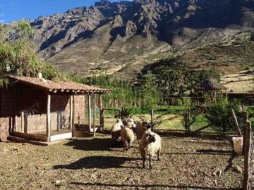 Terreno en Cusco en Calca 4,764 m2
