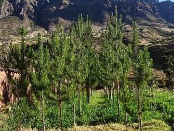 Terreno en Cusco en Calca 4,764 m2