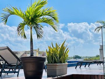 Estudio en Renta Playa del Carmen Centro