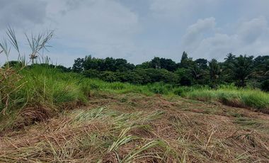 🌄 Prime Lot for Sale in Tagaytay - Bukaltino St., Tolentino Road! Ideal for Development! 🌿🏡