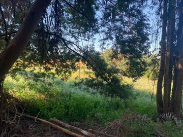 Se vende parcela de 2 hectáreas, sector Lihueno Pelarco