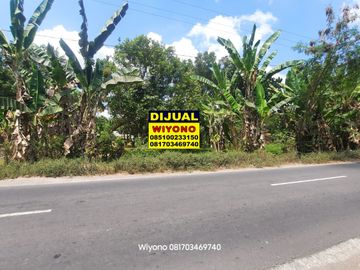Tanah Suranadi Lombok Nusa Tenggara Barat