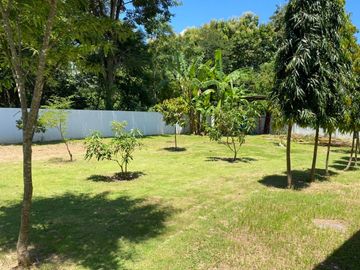 2 storey detached house sale 22MB, with tenant 100KB,440 sqWa., 5 bedrooms, 6 bathrooms, swimming pool, near Mae Jo Municipality, San Sai District, Ch