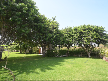 VENDO CASA DE CAMPO 10,000 M² KM 86 PAN SUR MALA
