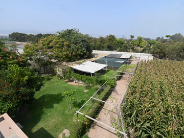 VENDO CASA DE CAMPO 10,000 M² KM 86 PAN SUR MALA