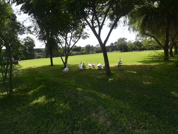 VENDO CASA DE CAMPO 10,000 M² KM 86 PAN SUR MALA